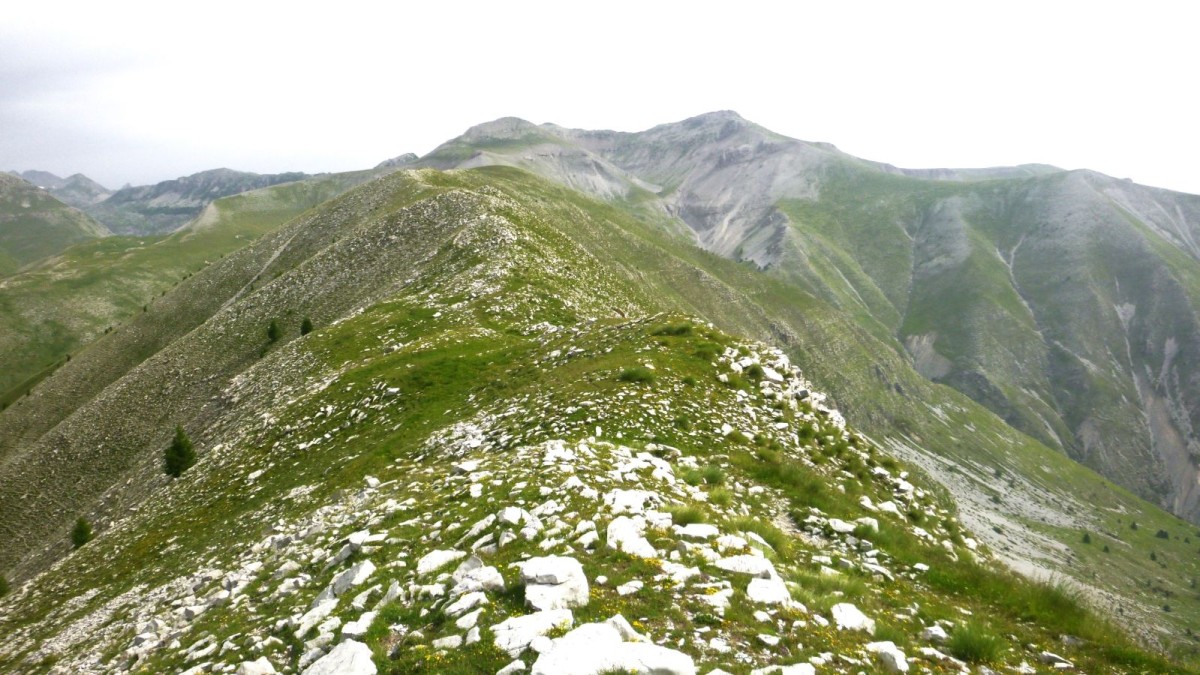 Tout au fond à gauche : Pierre Grosse et la Cime Fourchias (petite pointe à droite de Pierre Grosse) et le Mont St-Honorat (à droite)