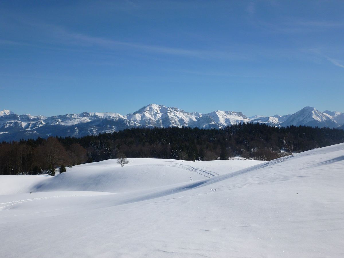 Vue de La Cula : Les Bauges, le Mont Blanc