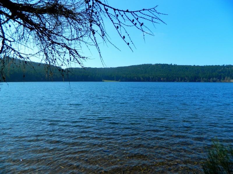 Le lac du Bouchet, joyau du Velay.