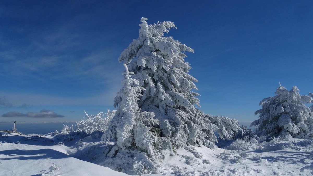 Dernière journée froide pour ce mois de janvier.