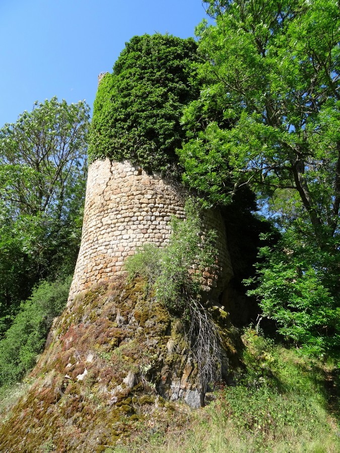 Vestiges du château d'Arzon.
