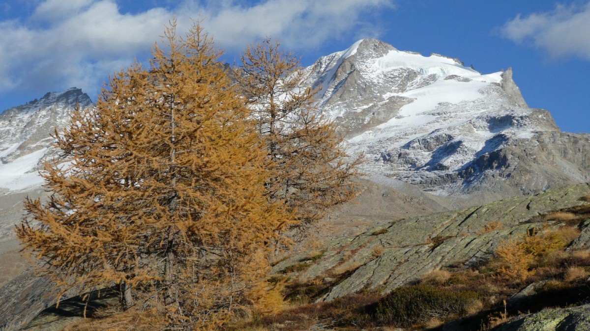 Vue superbe sur le Grand Paradis