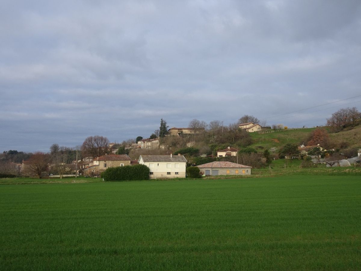La Motte-de-Galaure avec le prieuré au sommet