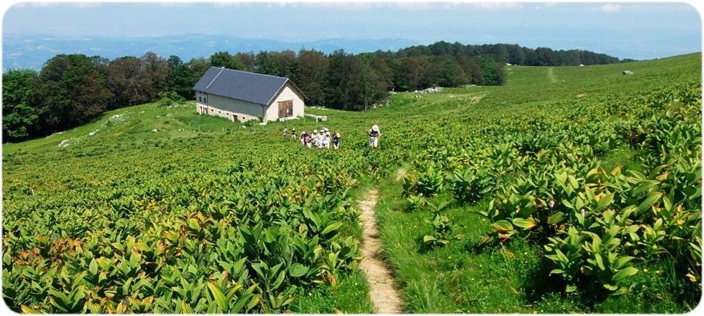 Bergerie de Fessole en montant vers le Pas de Pierre Taillée.