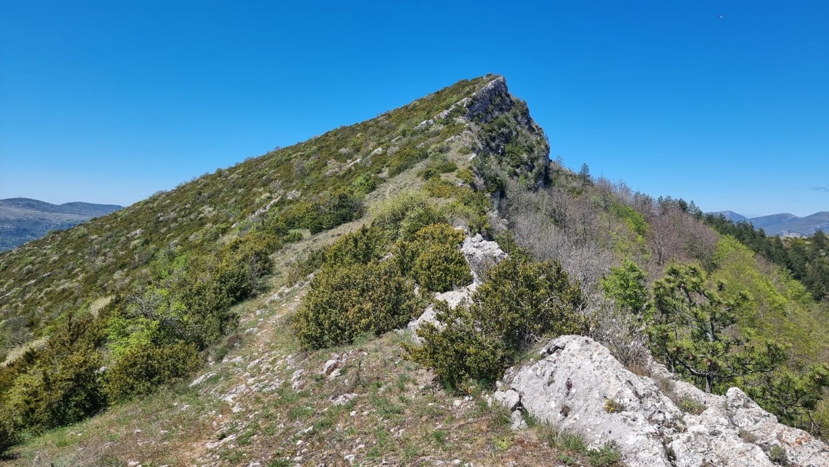 Les Aiguilles sont bien aiguisées....