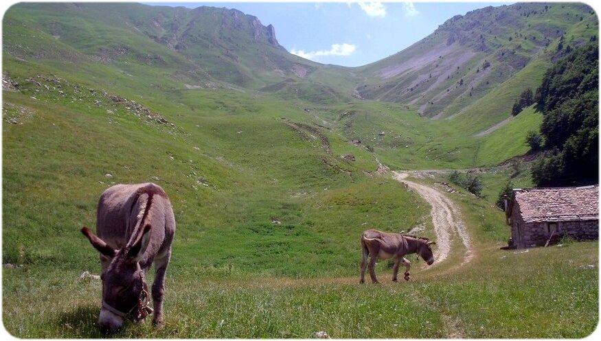 Le Vallon des Pâtres