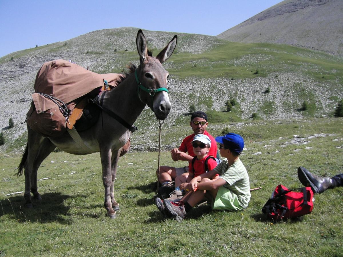 Randonnée en famille dans le parc national du Mercantour avec un âne