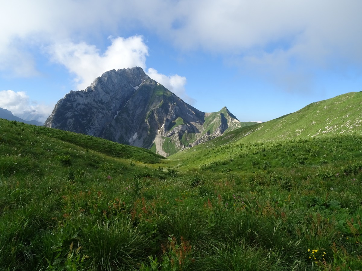 Mont Trélod vu depuis l'alpage du Charbonnet