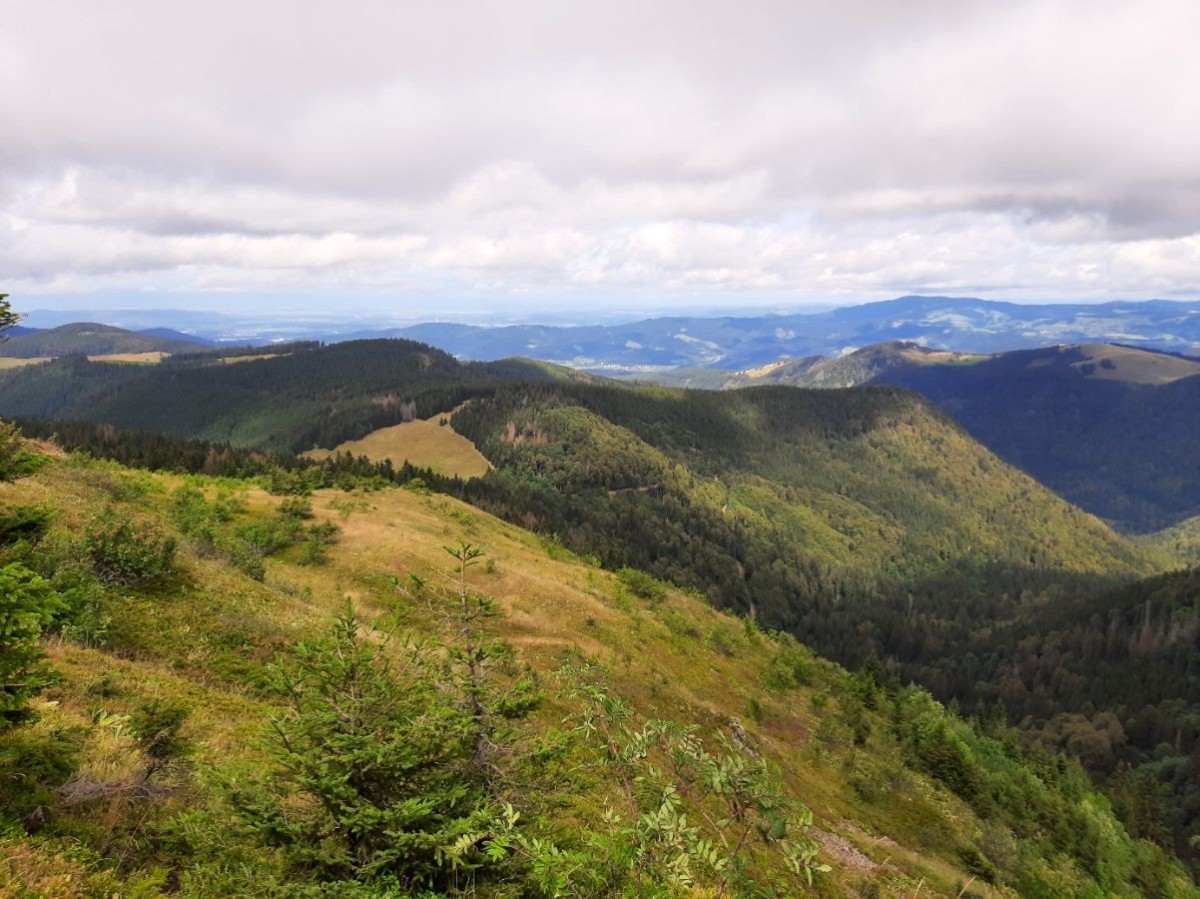 Point de vue sur les reliefs environnant