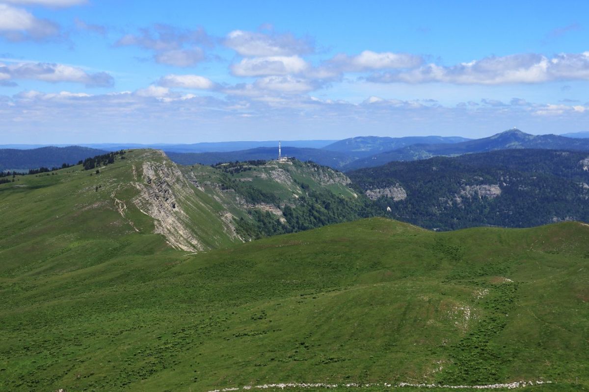 Du vert à perte de vue!