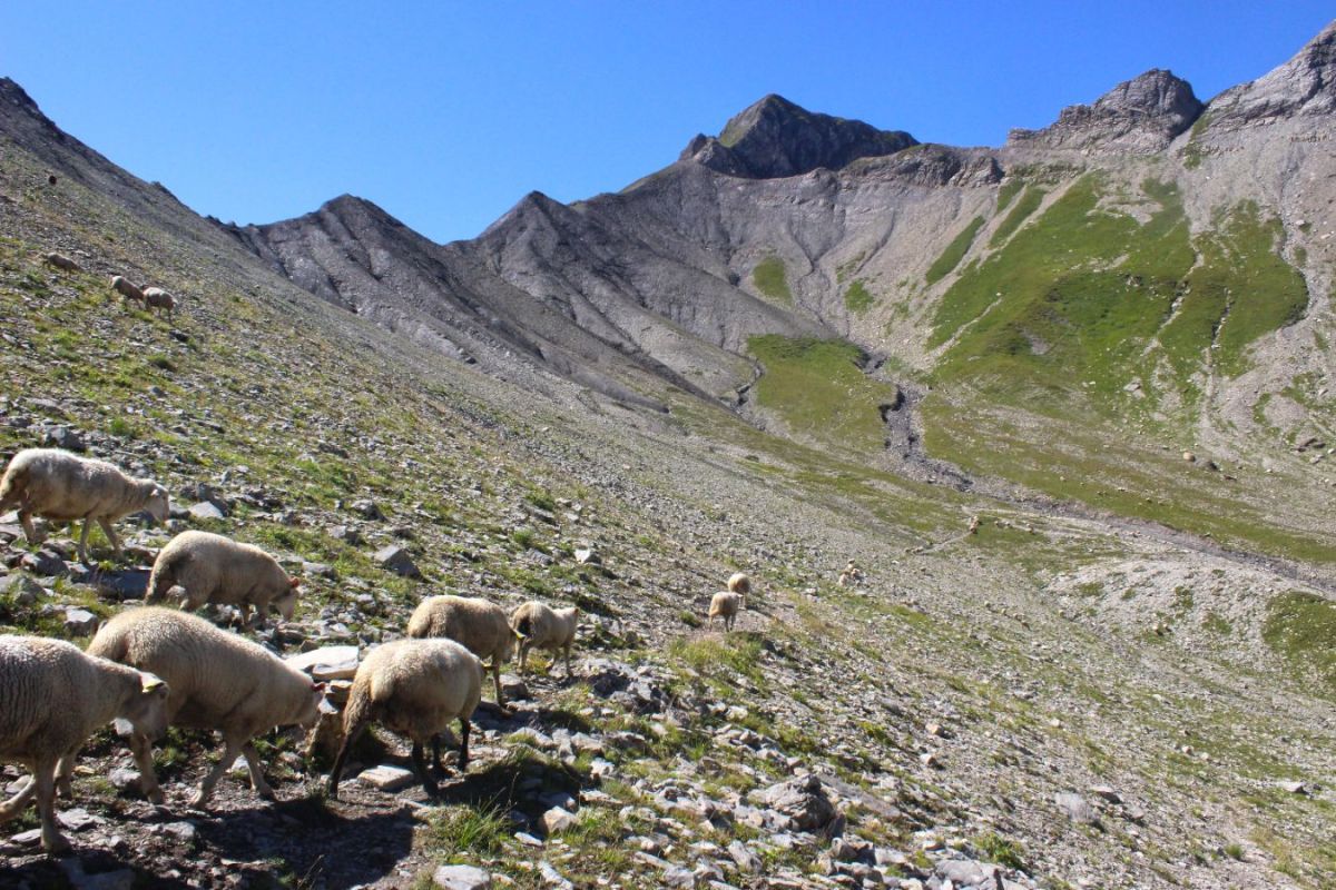 La beauté contrastée des Aravis