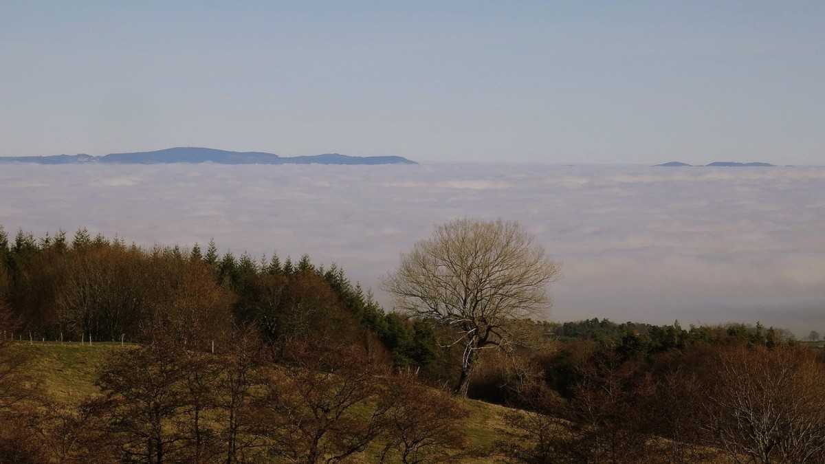 Monts de Tarare et du Lyonnais, des îles dans l'océan.