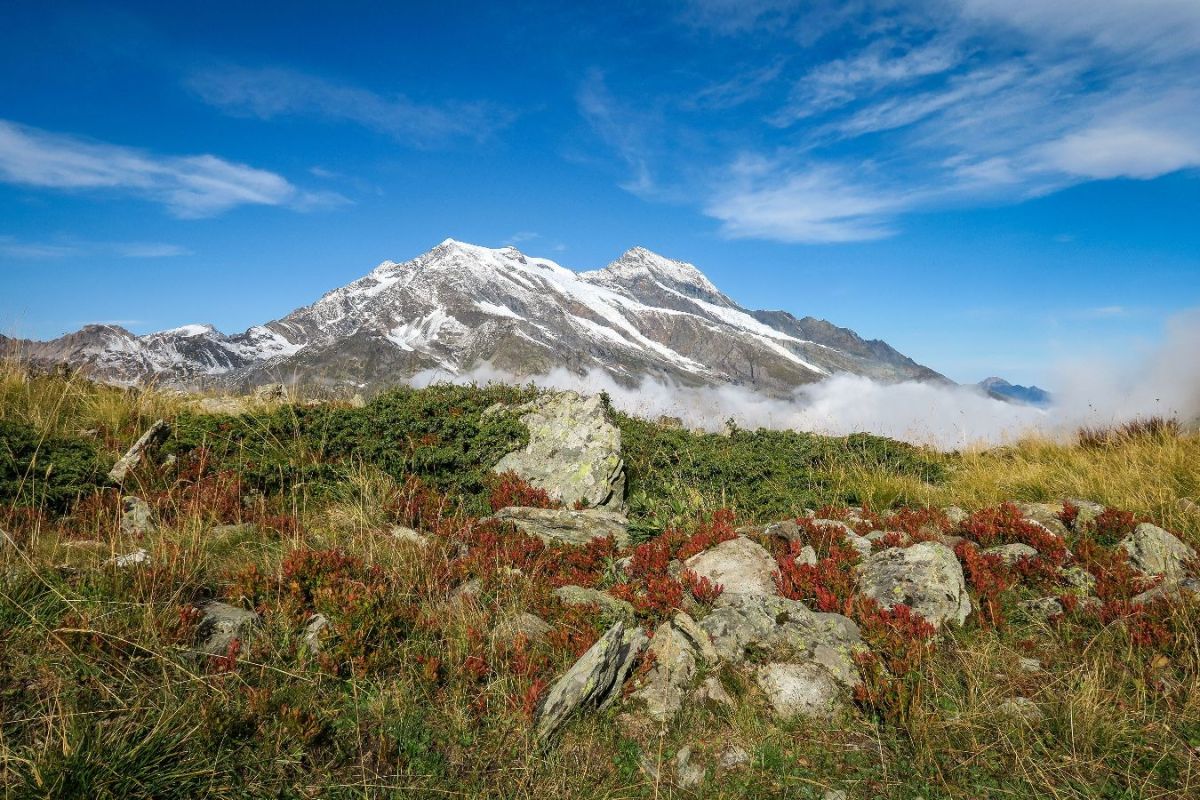 Mont Pourri en parure automnale