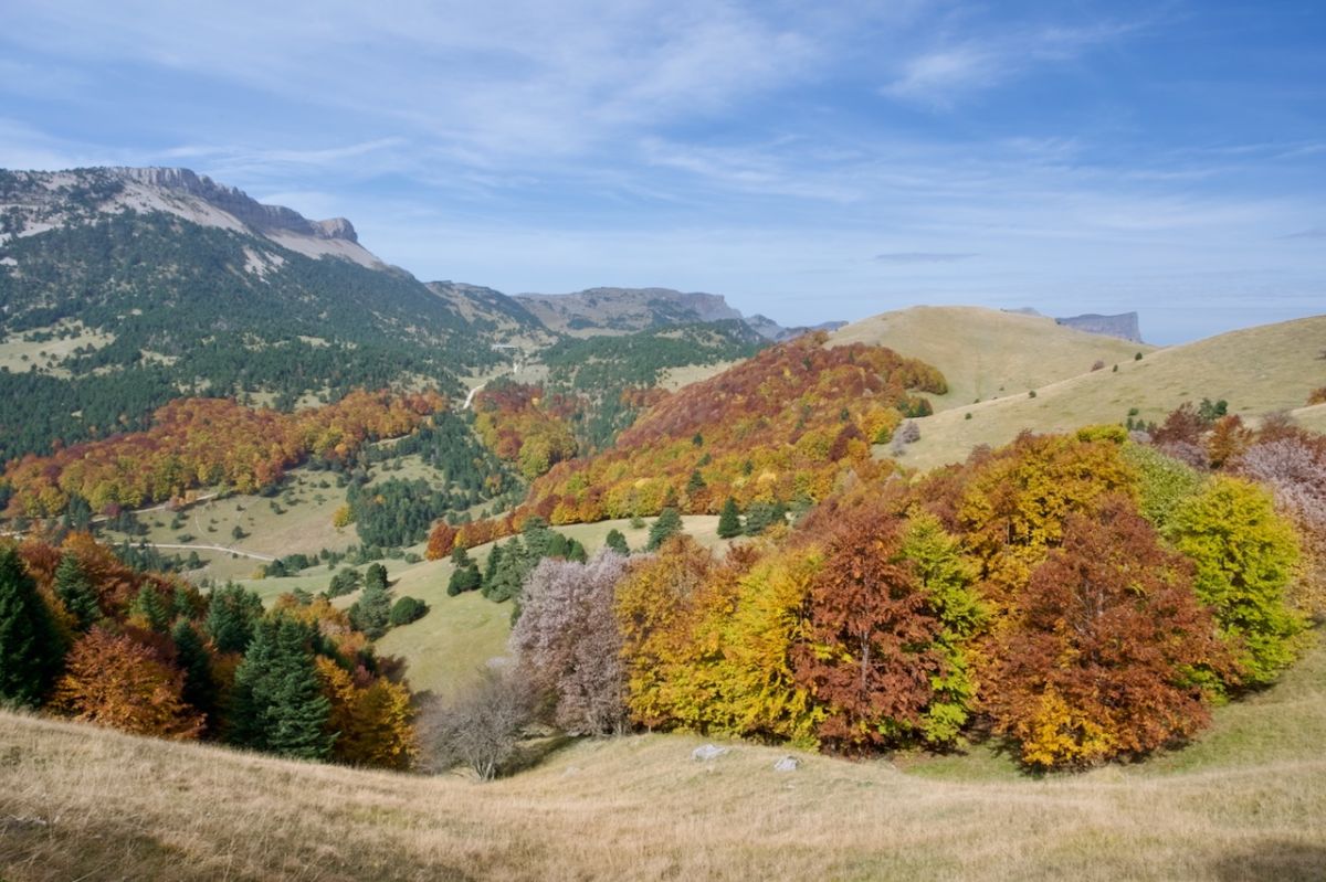 Alpages aux couleurs d'automne