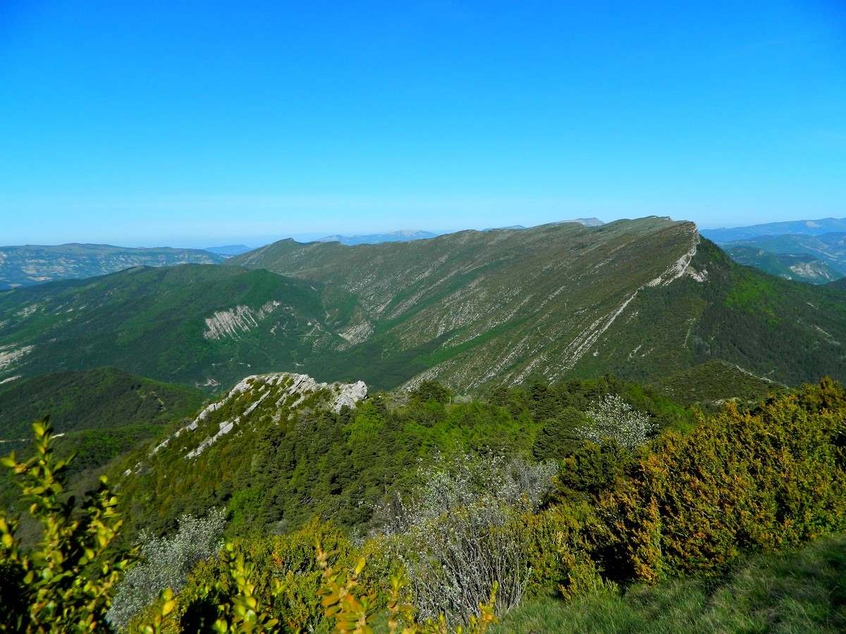 La Montagne de Raton, vue du sommet voisin du Fourchat 