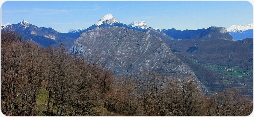 La Chartreuse des environs de Mollard Gargot.