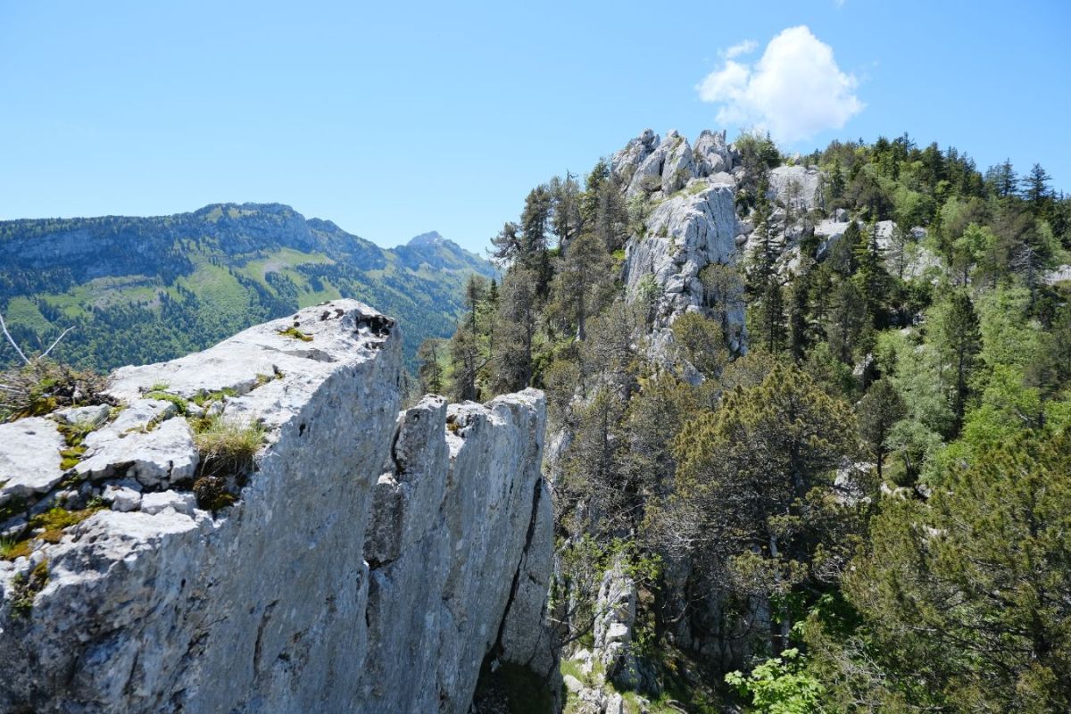 Chaos rocheux avant le point 1580m