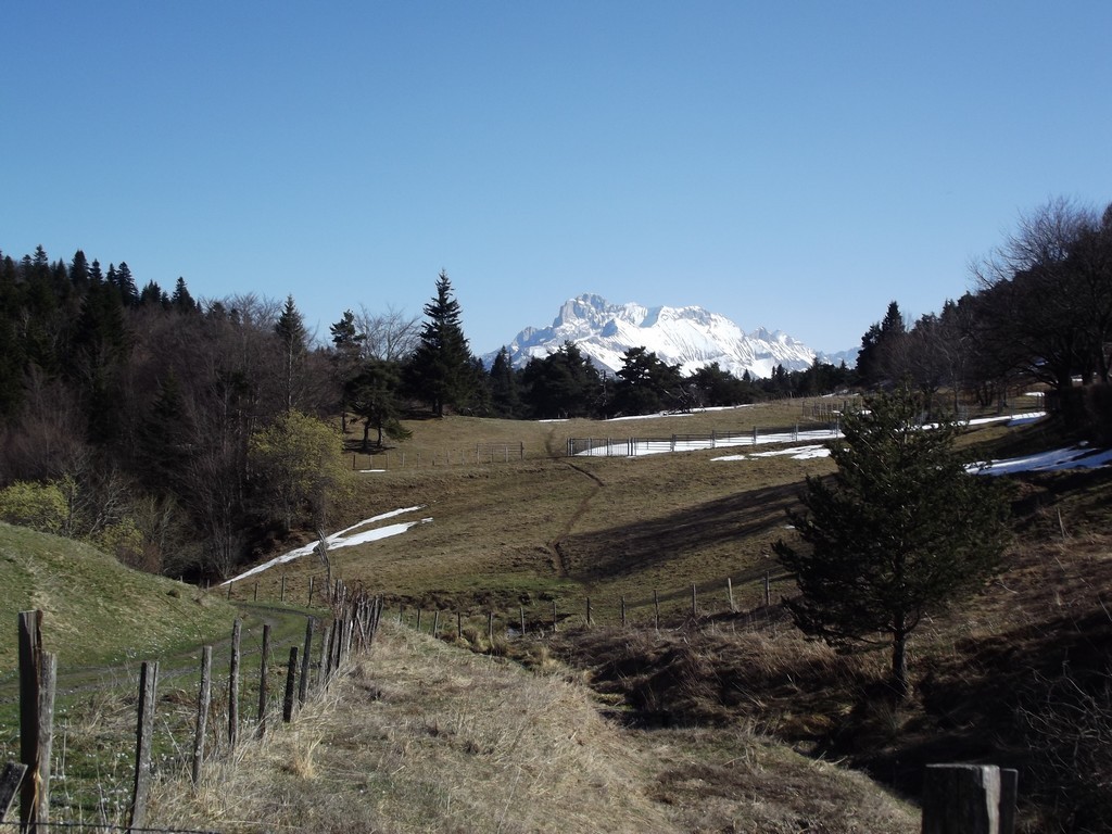 Entre pâturages et haute montagne, contrastes.......