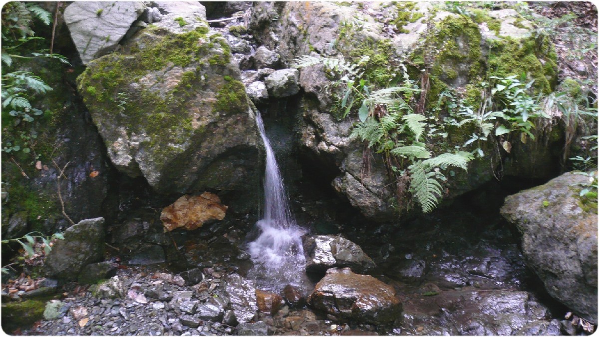 Fontaine de la Géline en eau dans le Bois du Tronchet.