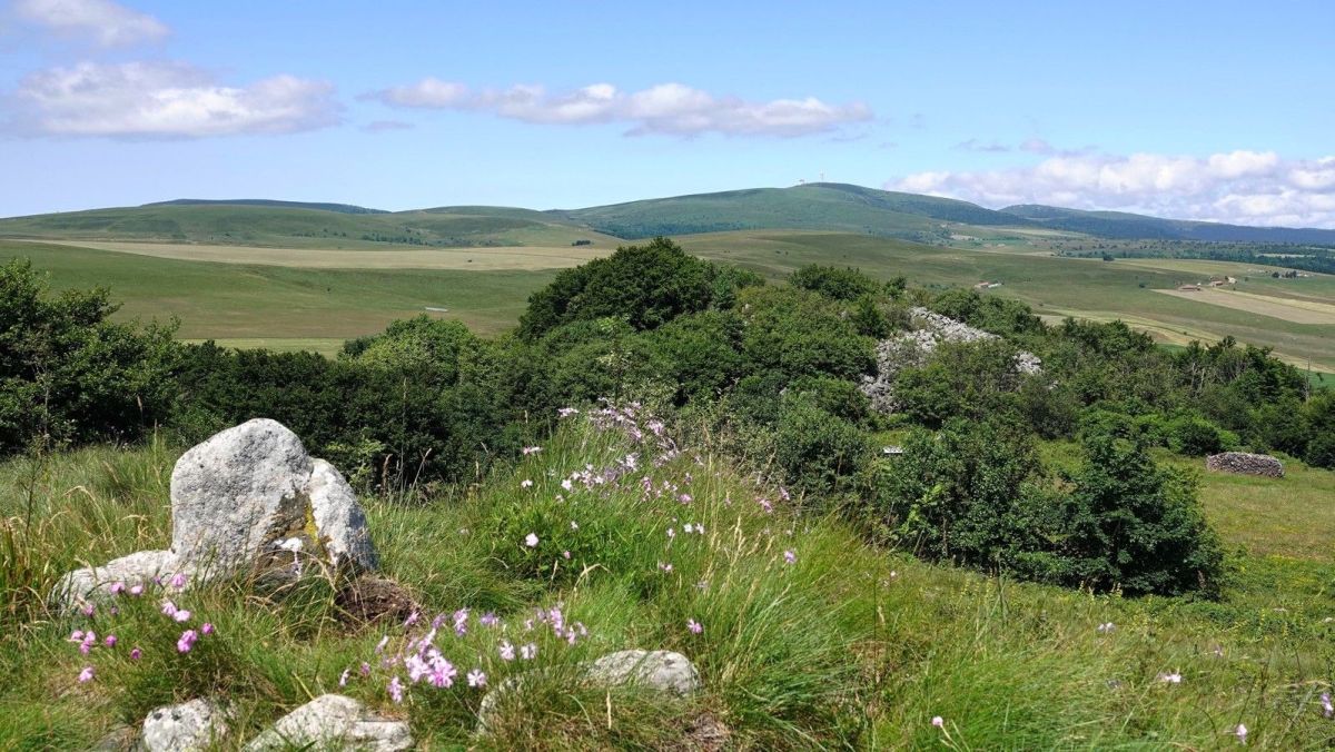 Pierre-sur-Haute, le "toit" des monts du Forez