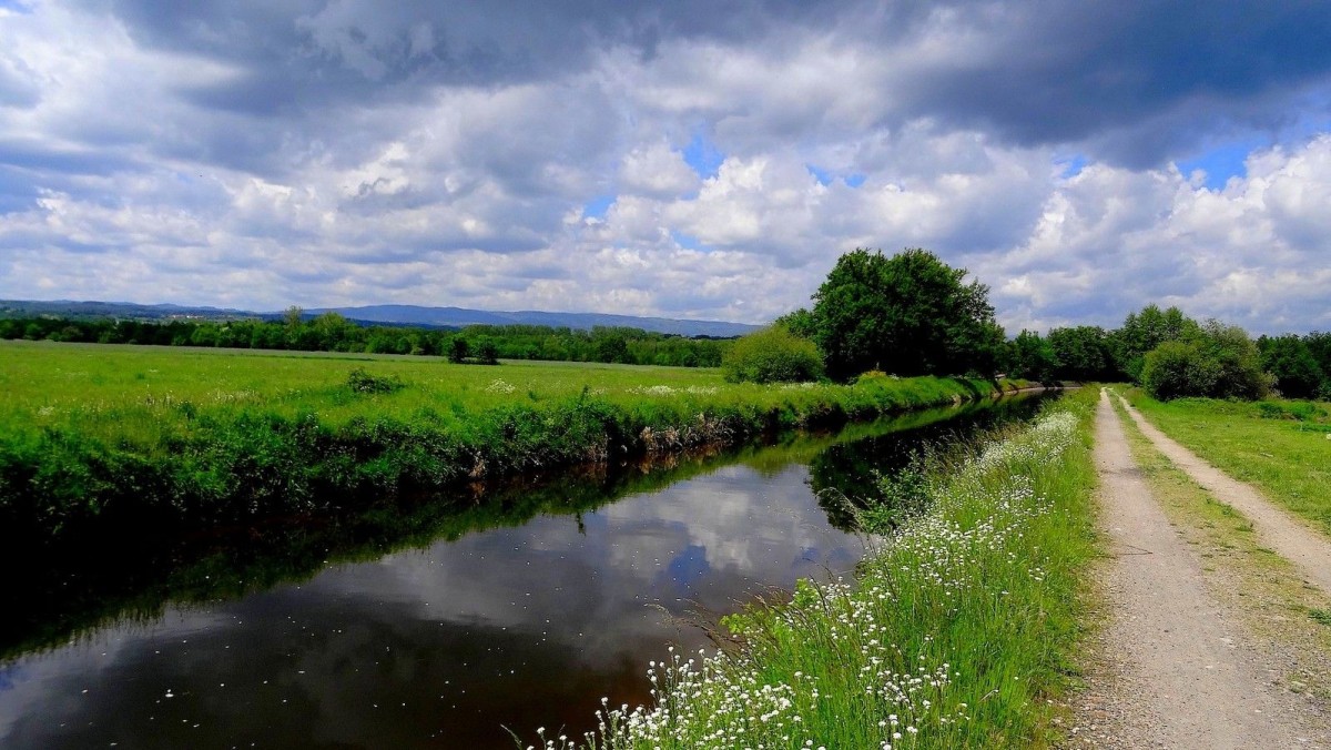 Canal et monts du Forez