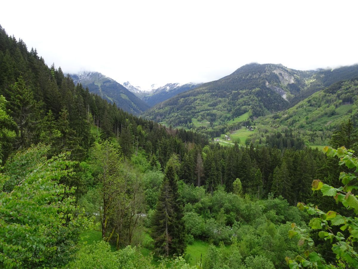 Vallée du Haut-Bréda