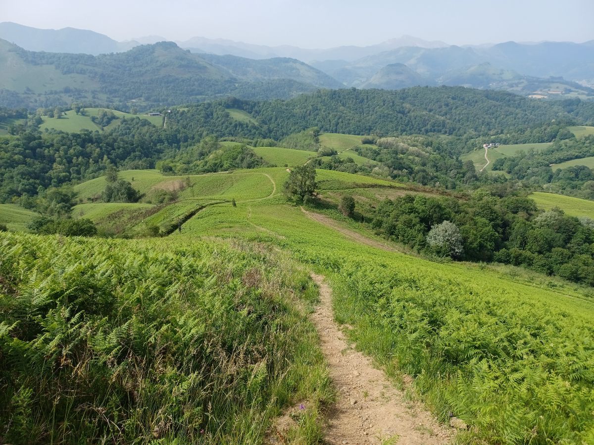 Des sentiers en balcon vers les sommets du Pays Basque et du Béarn