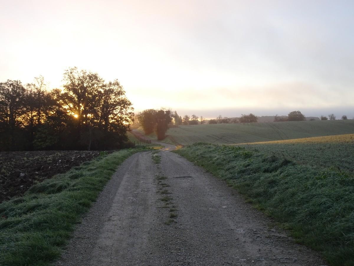 Dans la campagne de St-Léger