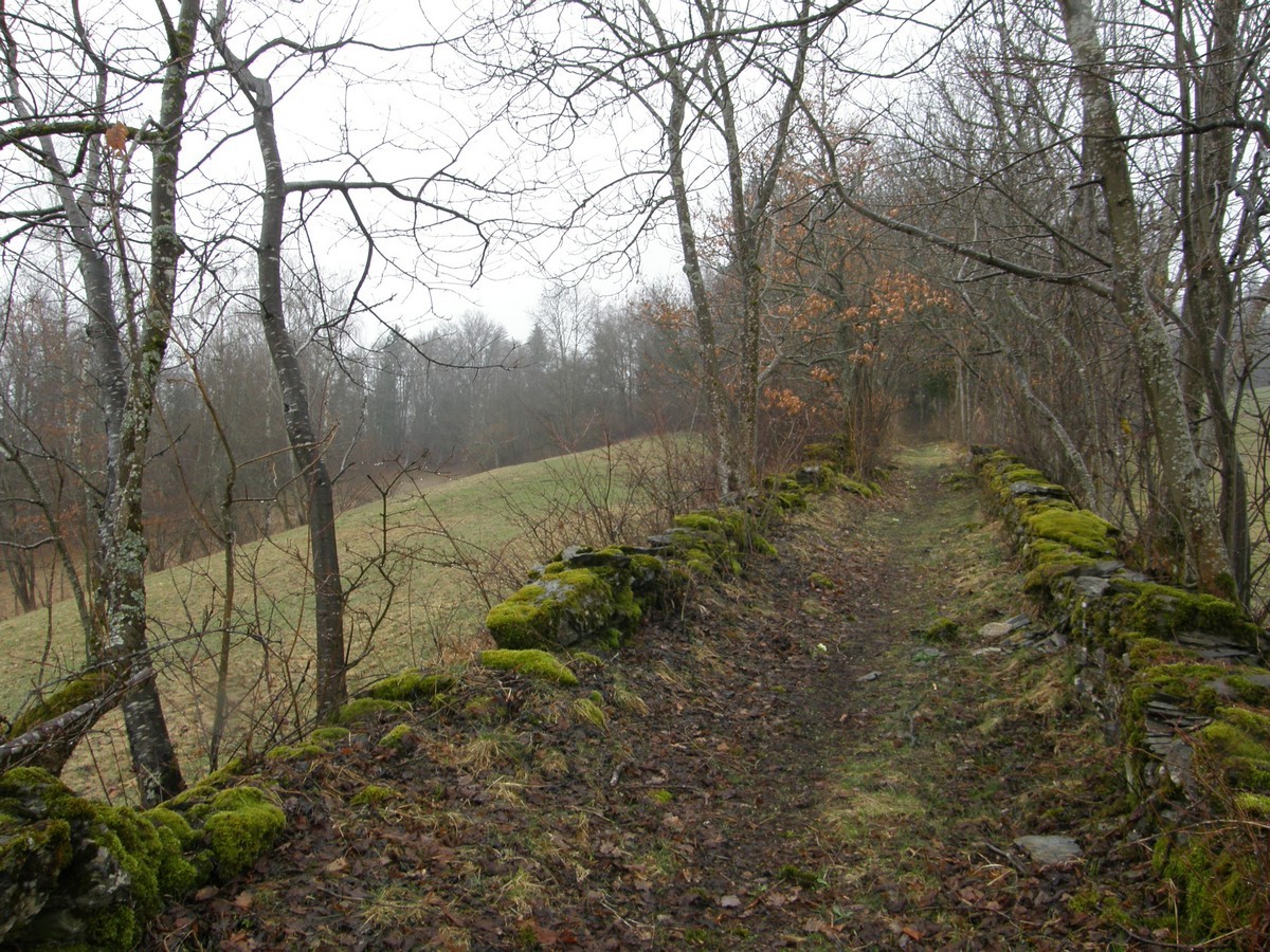 Sentier du château