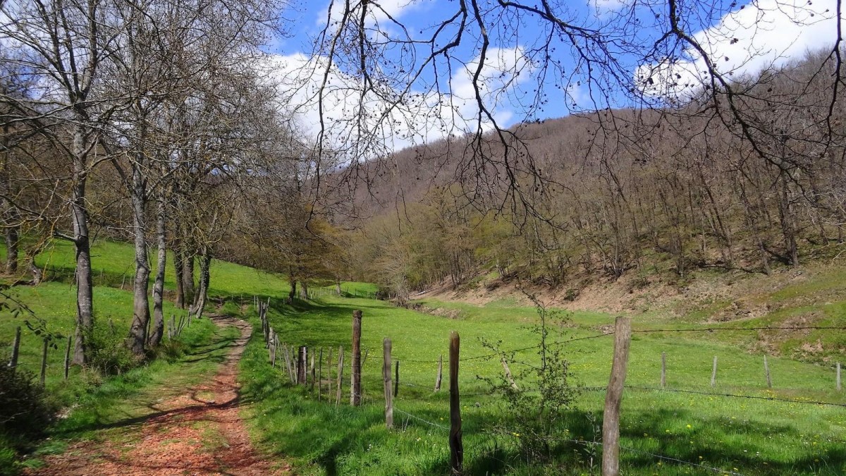 Dans un vallon affluent de l'Onzon.