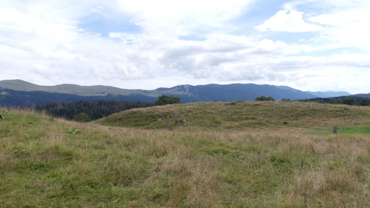 Paysage avec la chaîne des monts Jura