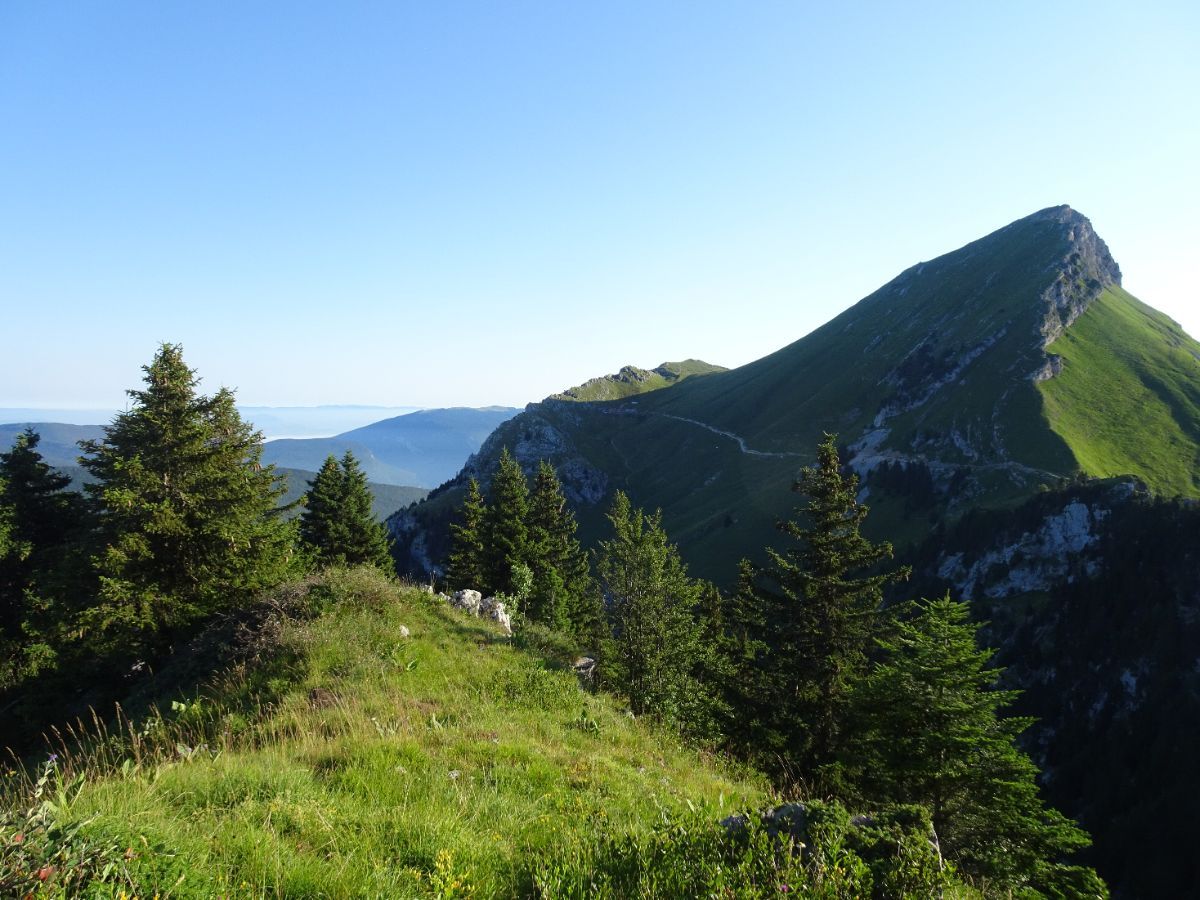 Montée de la Cave : le Colombier