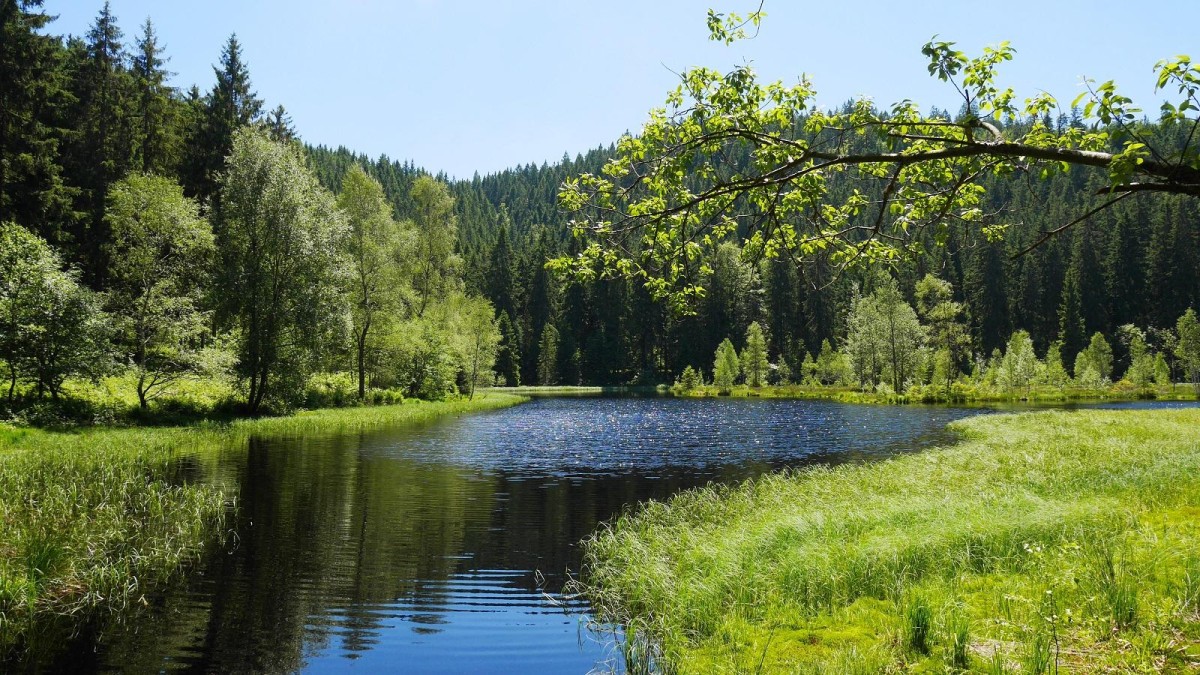 Buhlbachsee im Frühling.