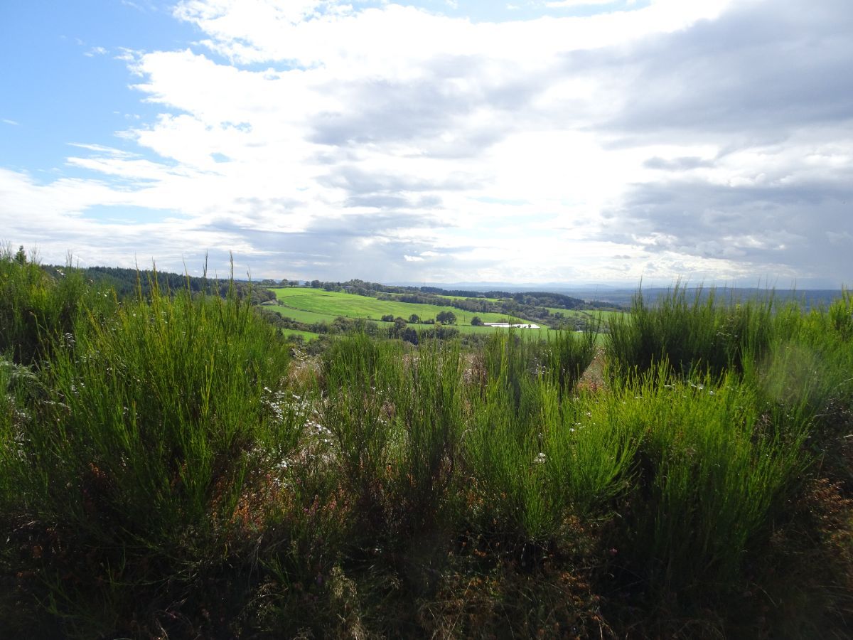 Au-dessus de la vallée du Sichon