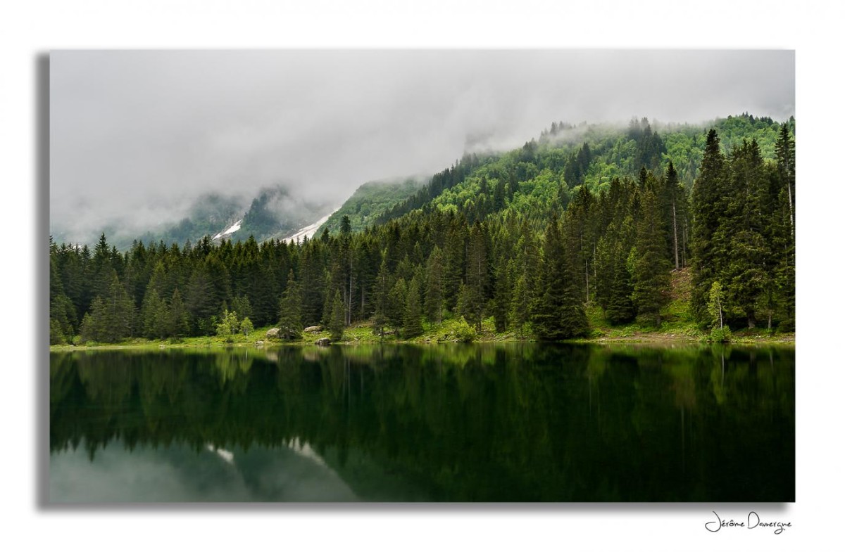 Du vert et de l'eau...