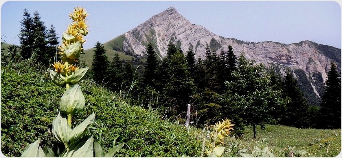 Sommet de L'Aup du Col de la Chante.