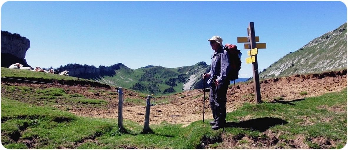 Du Col de la Sure, regard vers le sud.