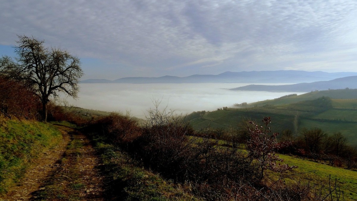 Brouillards sur la vallée du Gier.