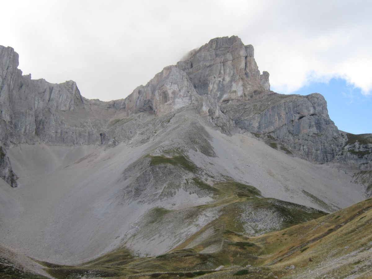 Un grand cœur