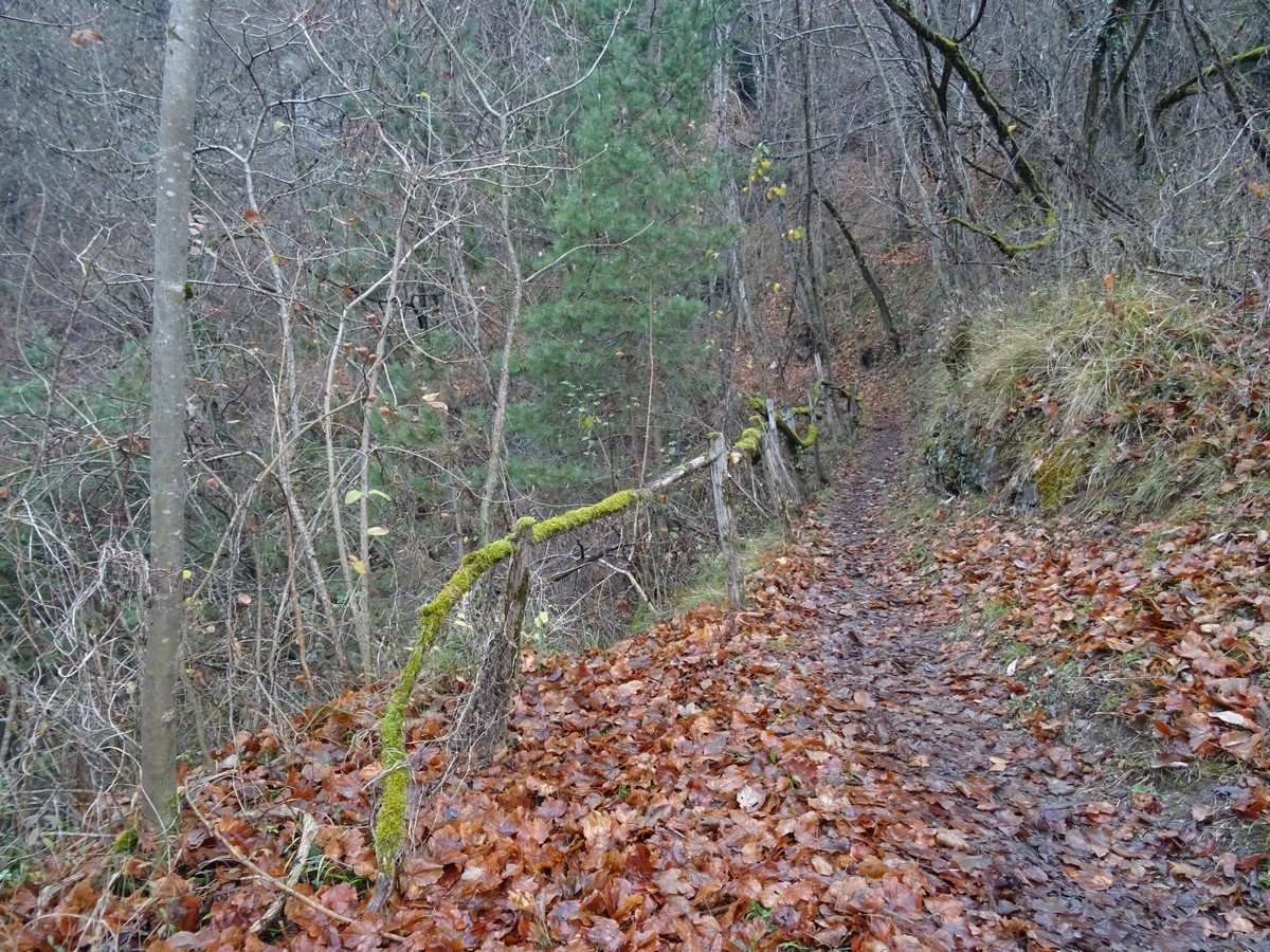Chemin d'accès à la Gorge, ruisseau de la Terrasse