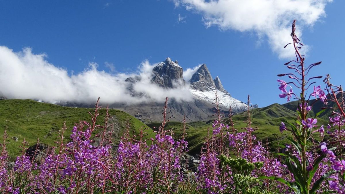 Suprebes Aiguilles d'Arves.