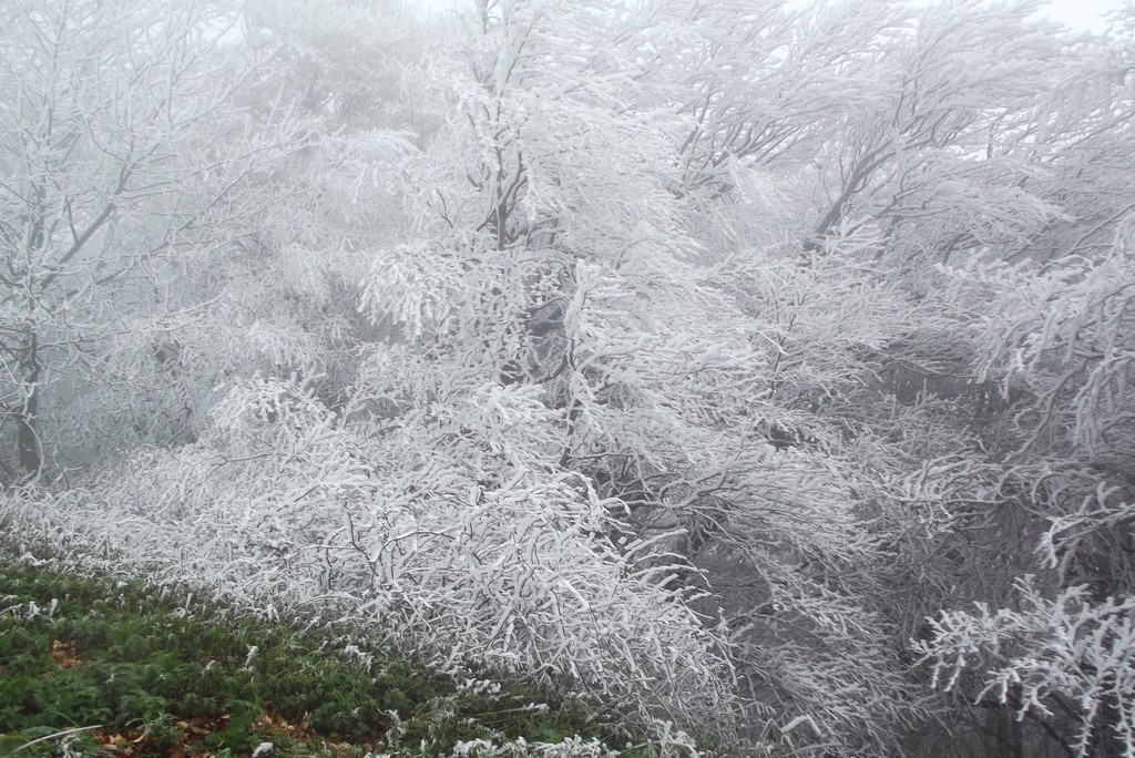 Bientôt l'hiver...