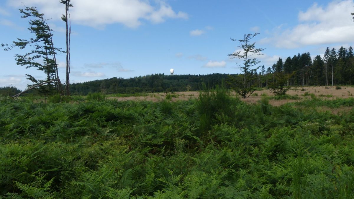 Le sommet du Tureau des Grands Bois coiffé de sa tour radar