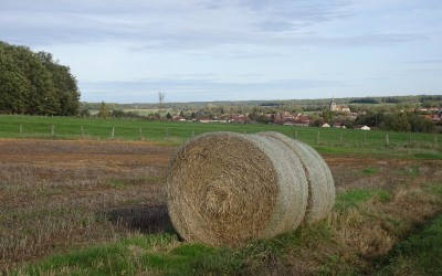 voir le topo