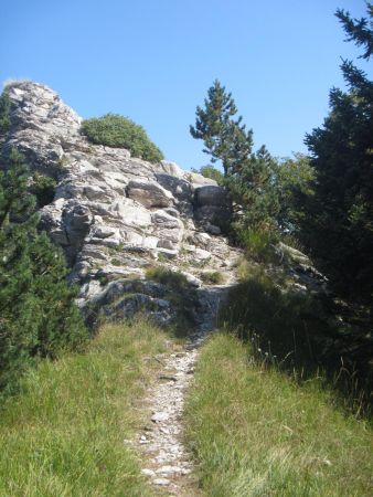 Accès Mont Pellat.