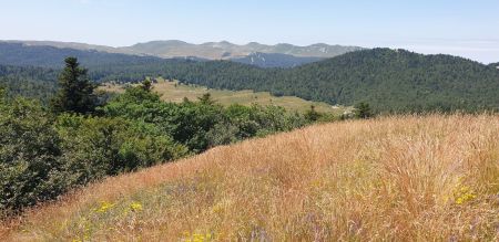 Vue des hauts plateaux depuis le sommet de Serre Plumé 