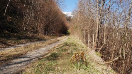 Tronçon nord de la voie sarde.