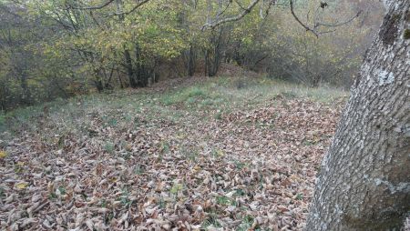 Sente peu visible sur le haut dans le rétro