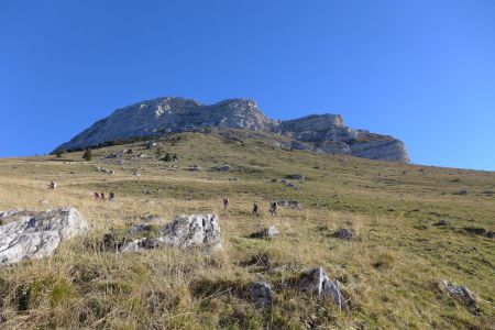 Du monde qui monte