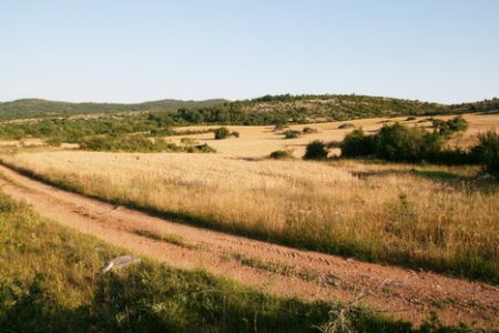 Sur le Causse de Campestre